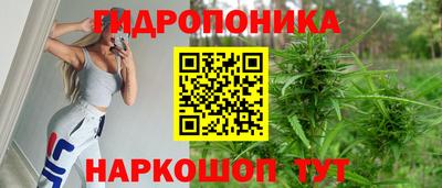 индика Добрянка